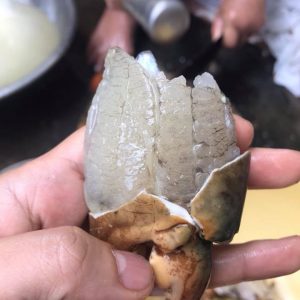 cua ngộp 2