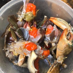 cua gạch son 1